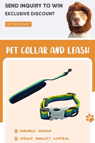 禹舜-活力橙狗牵引绳详情页